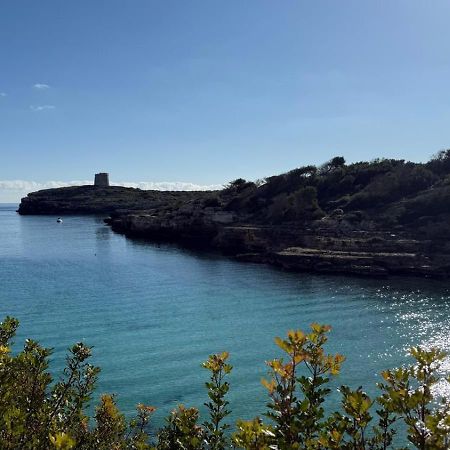 La Calma Espectacular Villa Con Jardin Y Piscina En Menorca S'Algar Ngoại thất bức ảnh